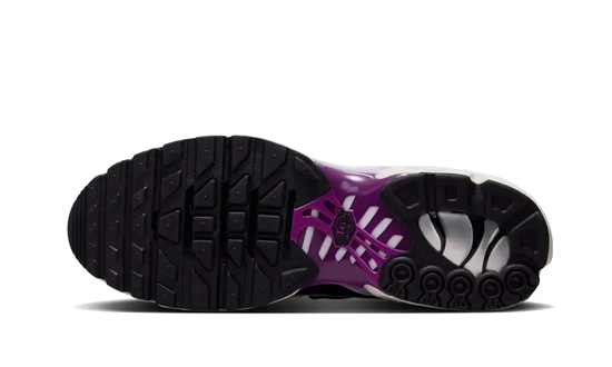 Nike Nike Air Max Plus Lilac Bloom  - FN6949-100