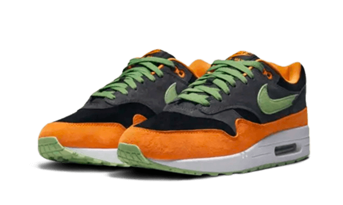 Nike Nike Air Max 1 PRM Duck Anthracite - DZ0482-001