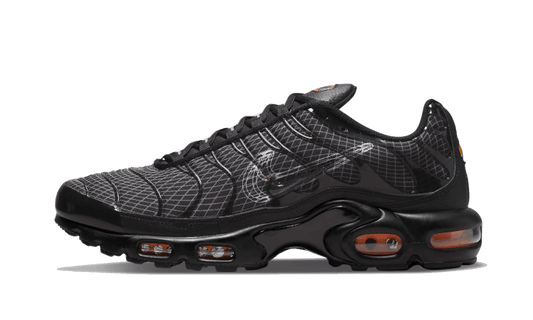 Nike Nike Air Max Plus 3D Swoosh Black - DR0138-001