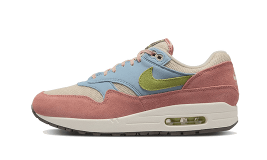 Nike Nike Air Max 1 Light Madder Root - DV3196-800