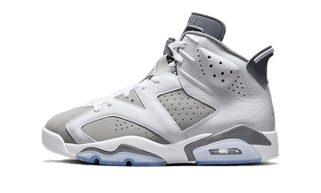 Air Jordan Air Jordan 6 Cool Grey - 384665-100 / CT8529-100