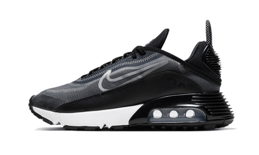 Nike Nike Air Max 2090 Black - CK2612-002