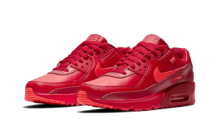 Nike Nike Air Max 90 Chi-City Special - DH0146-600 / DH0149-600