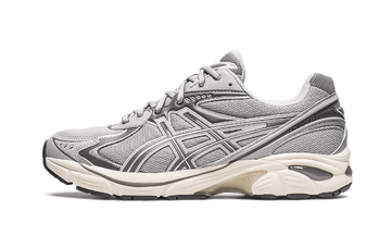 ASICS ASICS GT-2160 Oyster Grey - 1203A320-020