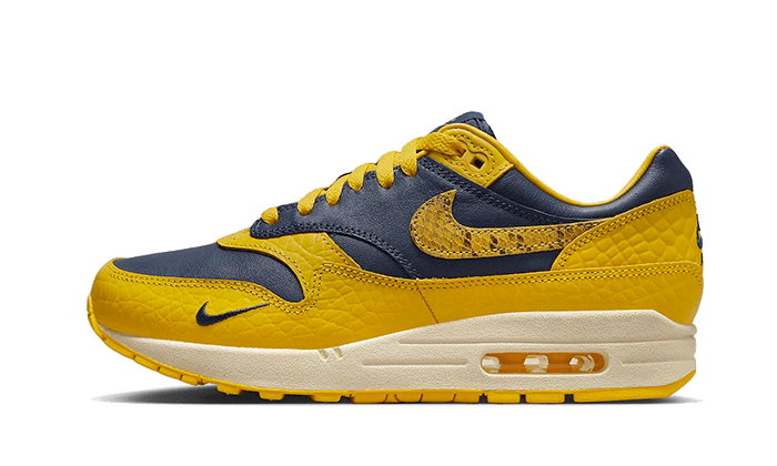 Nike Nike Air Max 1 CO.JP Michigan - FJ5479-410