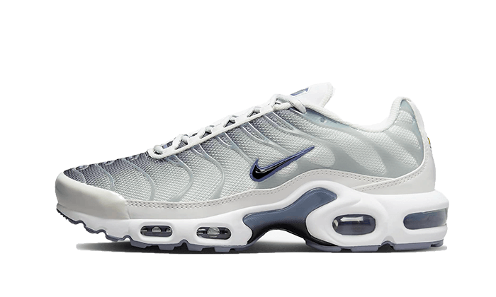 Nike Nike Air Max Plus Sail Grey - FQ2892-100