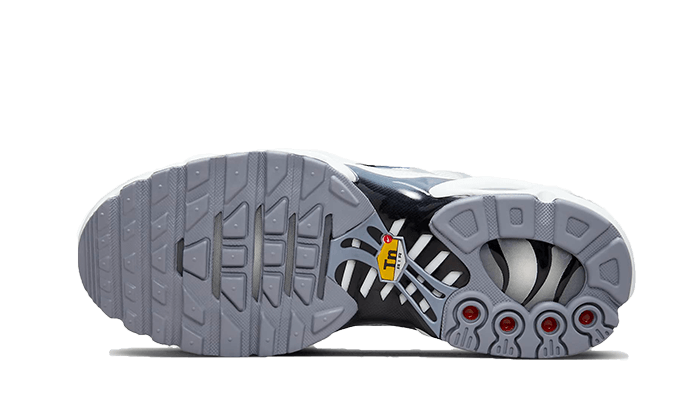 Nike Nike Air Max Plus Sail Grey - FQ2892-100