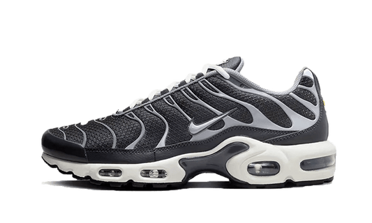 Nike Nike Air Max Plus SE Greyscale Cool Grey - DZ2655-001