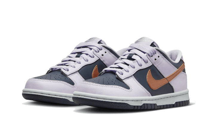 Nike Nike Dunk Low SE Copper Swoosh - DX1663-400