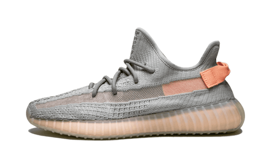 Adidas Adidas Yeezy Boost 350 V2 True Form - EG7492